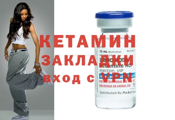 прущие грибы Няндома