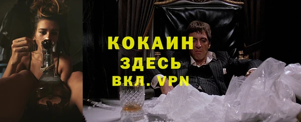 прущие грибы Няндома