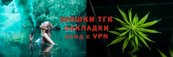 прущие грибы Няндома