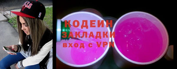 прущие грибы Няндома