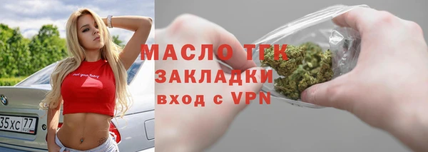 прущие грибы Няндома