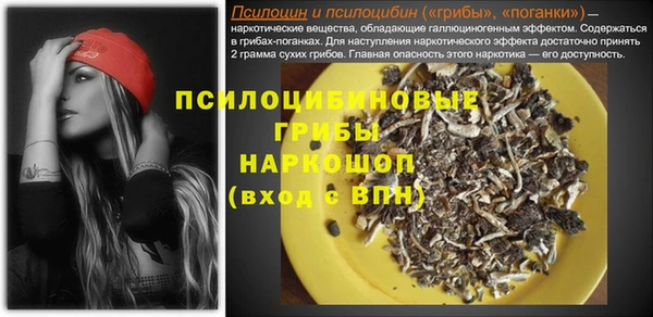 прущие грибы Няндома