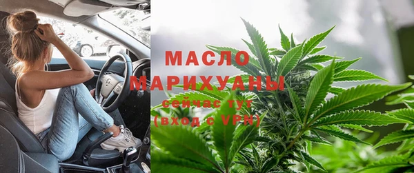 дмт Нягань