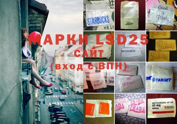 прущие грибы Няндома