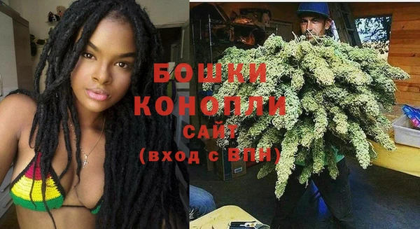 прущие грибы Няндома
