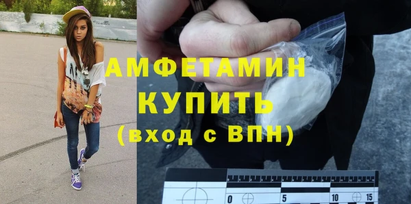 прущие грибы Няндома