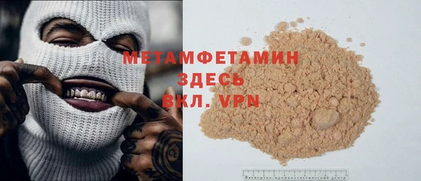 прущие грибы Няндома