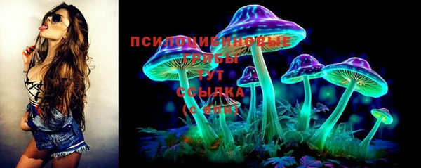 альфа пвп Нязепетровск